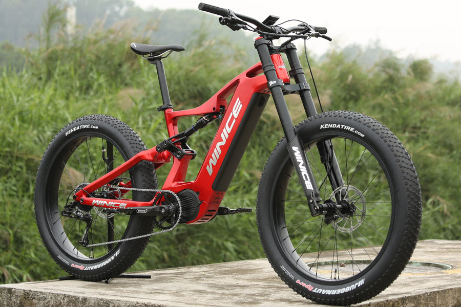 dengfu fat bike