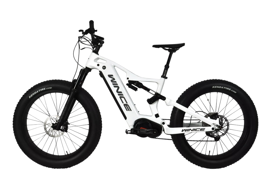 Dengfu ebike sale