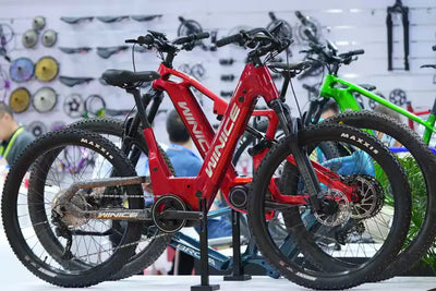 DengFu Winice attended the CHINA CYCLE Fair