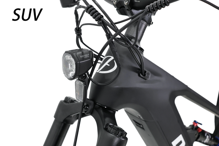 DengFu Winice E56 FAT Carbon Ebike M620 UART 52V 1000W 20Ah 1040Wh 26er