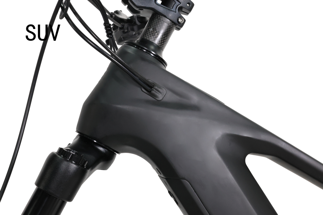 DengFu E82 ENDURO Carbon Ebike M560 48V 29er/27.5er – DENGFU