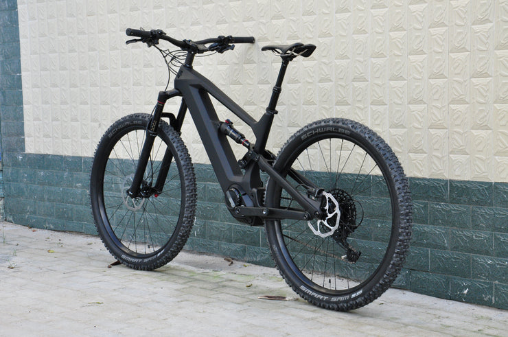 DengFu E10  Carbon Ebike M560 M510 48V 29er