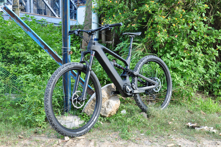 DengFu E10  Carbon Ebike M560 M510 48V 29er