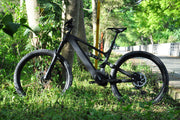 DengFu E10  Carbon Ebike M560 M510 48V 29er