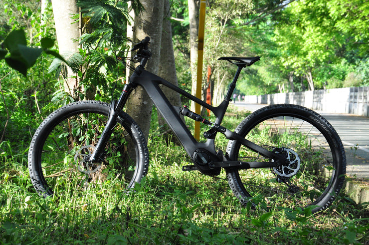DengFu E10  Carbon Ebike M560 M510 48V 29er
