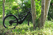DengFu E10  Carbon Ebike M560 M510 48V 29er