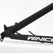 DengFu Winice E55 AM Carbon Frame 27.5er/29er M620 FREE Shipping