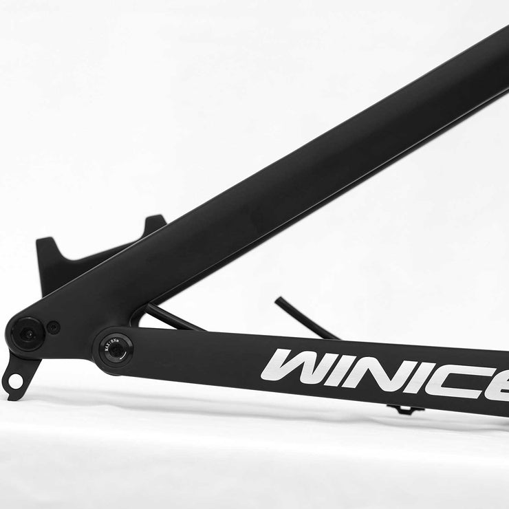 DengFu Winice E55 AM Carbon Frame 27.5er/29er M620 FREE Shipping