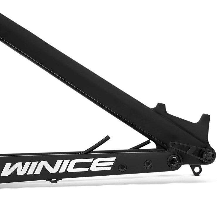 DengFu Winice E55 AM Carbon Frame 27.5er/29er M620 FREE Shipping