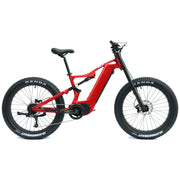 DengFu Winice E56 FAT Carbon Ebike M620 UART 52V 1000W 20Ah 1040Wh 26er Merak In Stock FREE Shipping