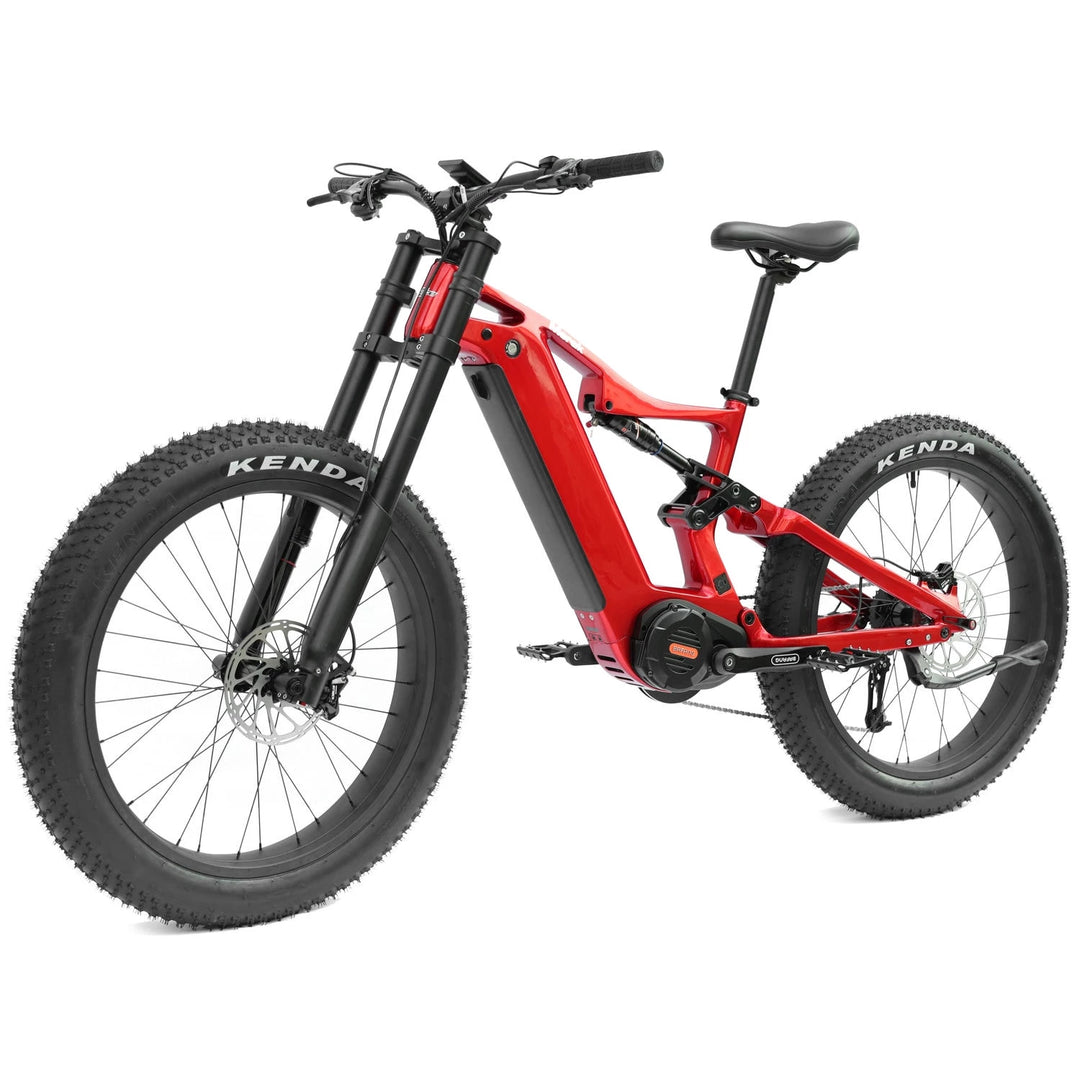 DengFu E56 FAT Carbon Ebike M620 UART 52V 1000W 20Ah 1040Wh 26er Merak
