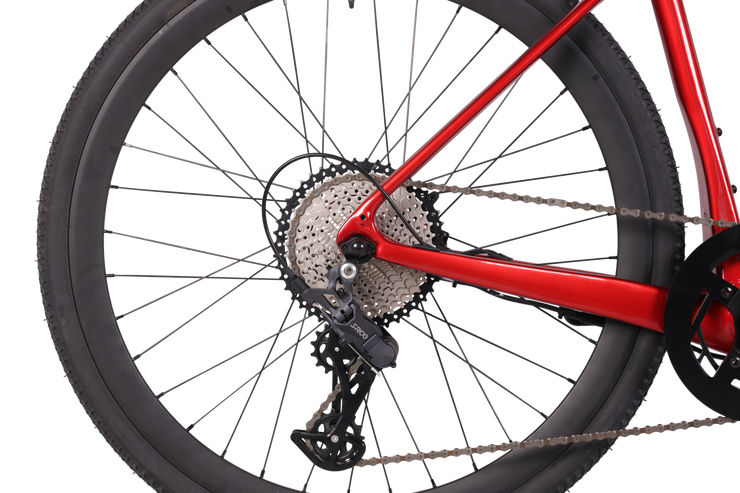 DengFu E98 E-GRAVEL Carbon Ebike