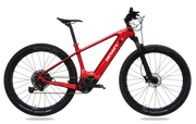 E14|DENGFU Trail Mountain Electric Carbon Frame E-bikes Photo 01