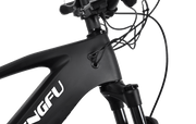 E05|DENGFU Electric Carbon Frame Trail Mountain E-bikes Photo 07