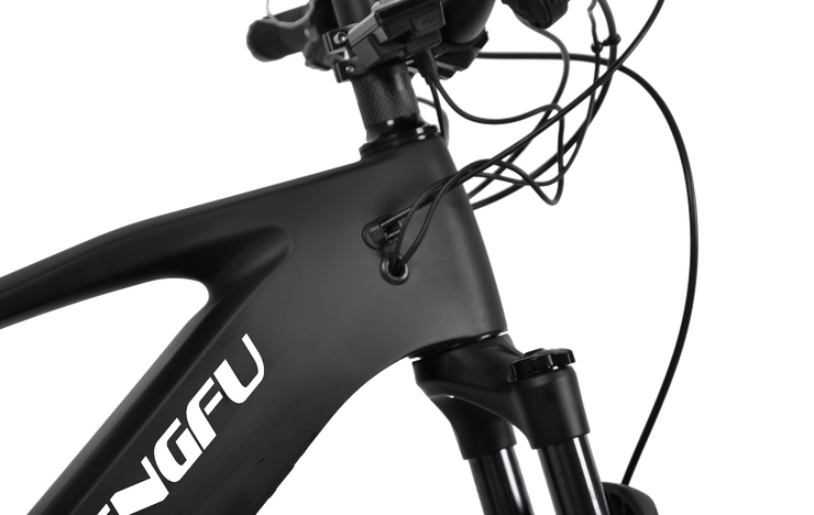 E05|DENGFU Electric Carbon Frame Trail Mountain E-bikes Photo 07