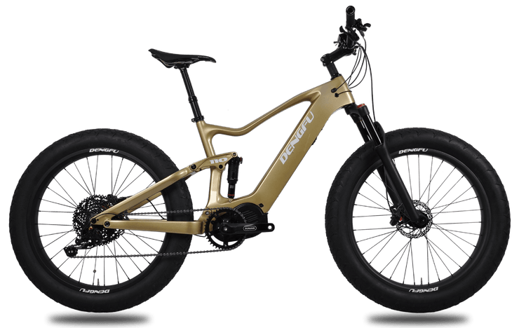 E06|DENGFU Electric Carbon Frame Fat E-bike For Snow/Sand Photo 01