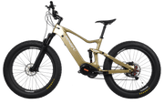 E06|DENGFU Electric Carbon Frame Fat E-bike For Snow/Sand Photo 02