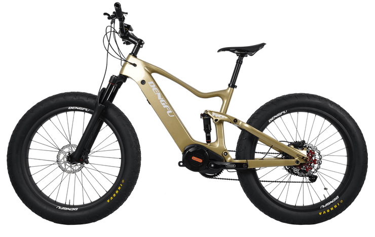 E06|DENGFU Electric Carbon Frame Fat E-bike For Snow/Sand Photo 02