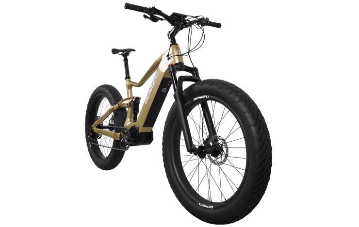 E06|DENGFU Electric Carbon Frame Fat E-bike For Snow/Sand Photo 03