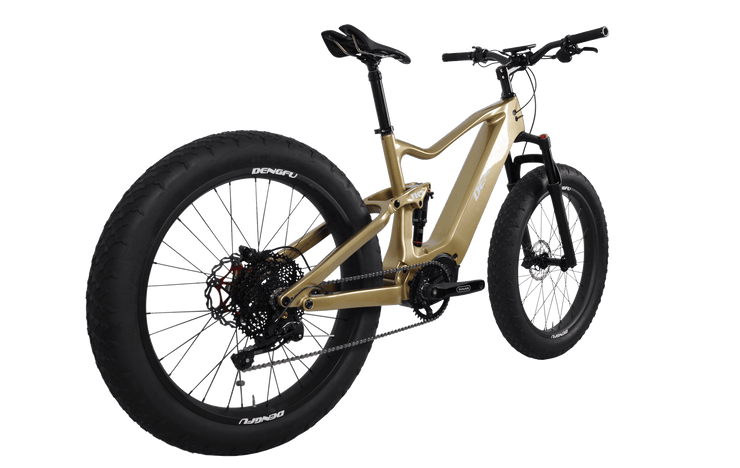 Electric Carbon Frame Fat E bike For Snow Sand FactoryPrice E06 DENGFU