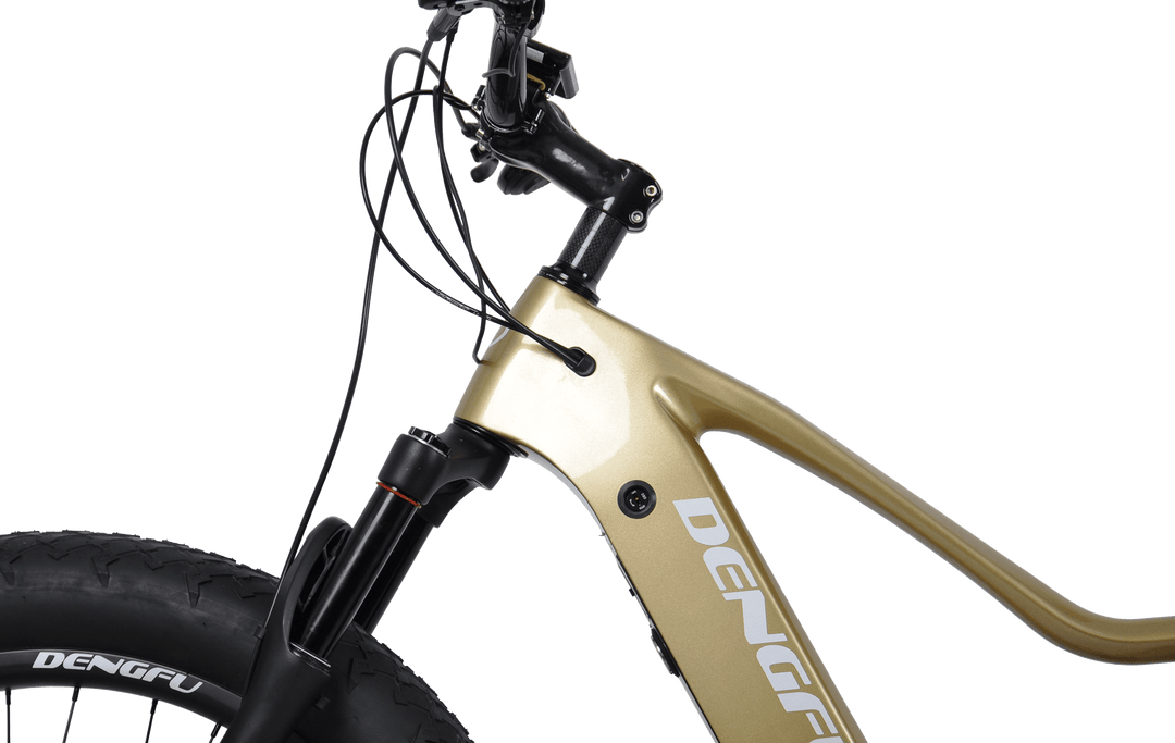 Electric Carbon Frame Fat E bike For Snow Sand FactoryPrice E06 DENGFU