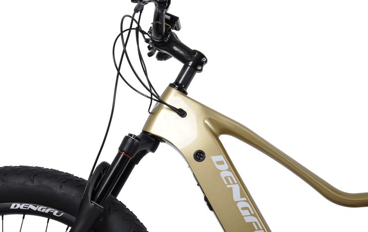 E06|DENGFU Electric Carbon Frame Fat E-bike For Snow/Sand Photo 07
