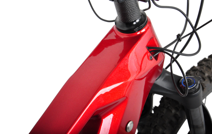 E14|DENGFU Trail Mountain Electric Carbon Frame E-bikes Photo 06