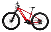 E14|DENGFU Trail Mountain Electric Carbon Frame E-bikes Photo 02