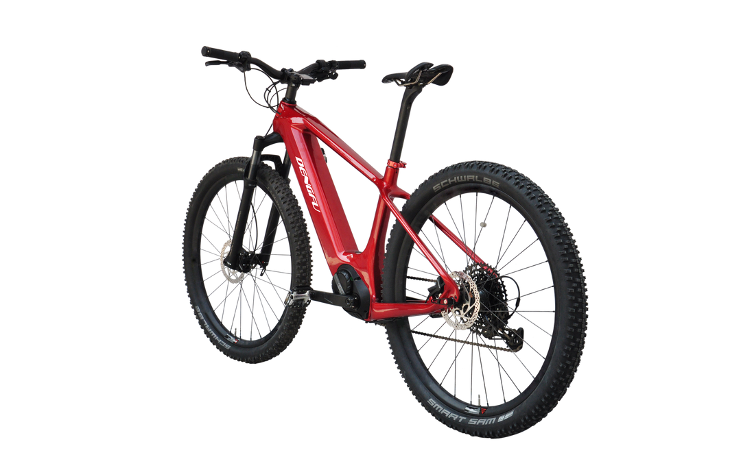 Trail Mountain Electric Carbon Frame E-bikes Factory Price E14|DENGFU