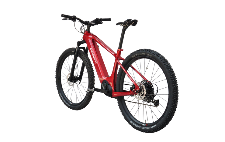 E14|DENGFU Trail Mountain Electric Carbon Frame E-bikes Photo 03