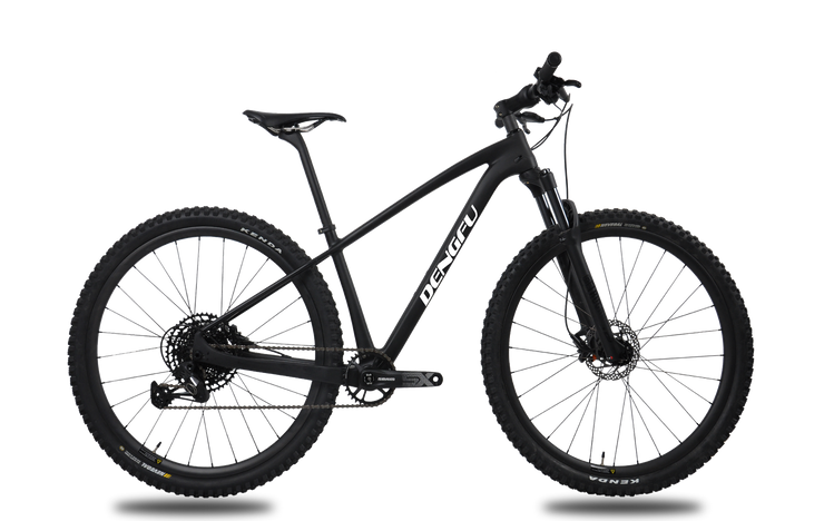 M04|DENGFU Carbon Frame XC Mountain Bike